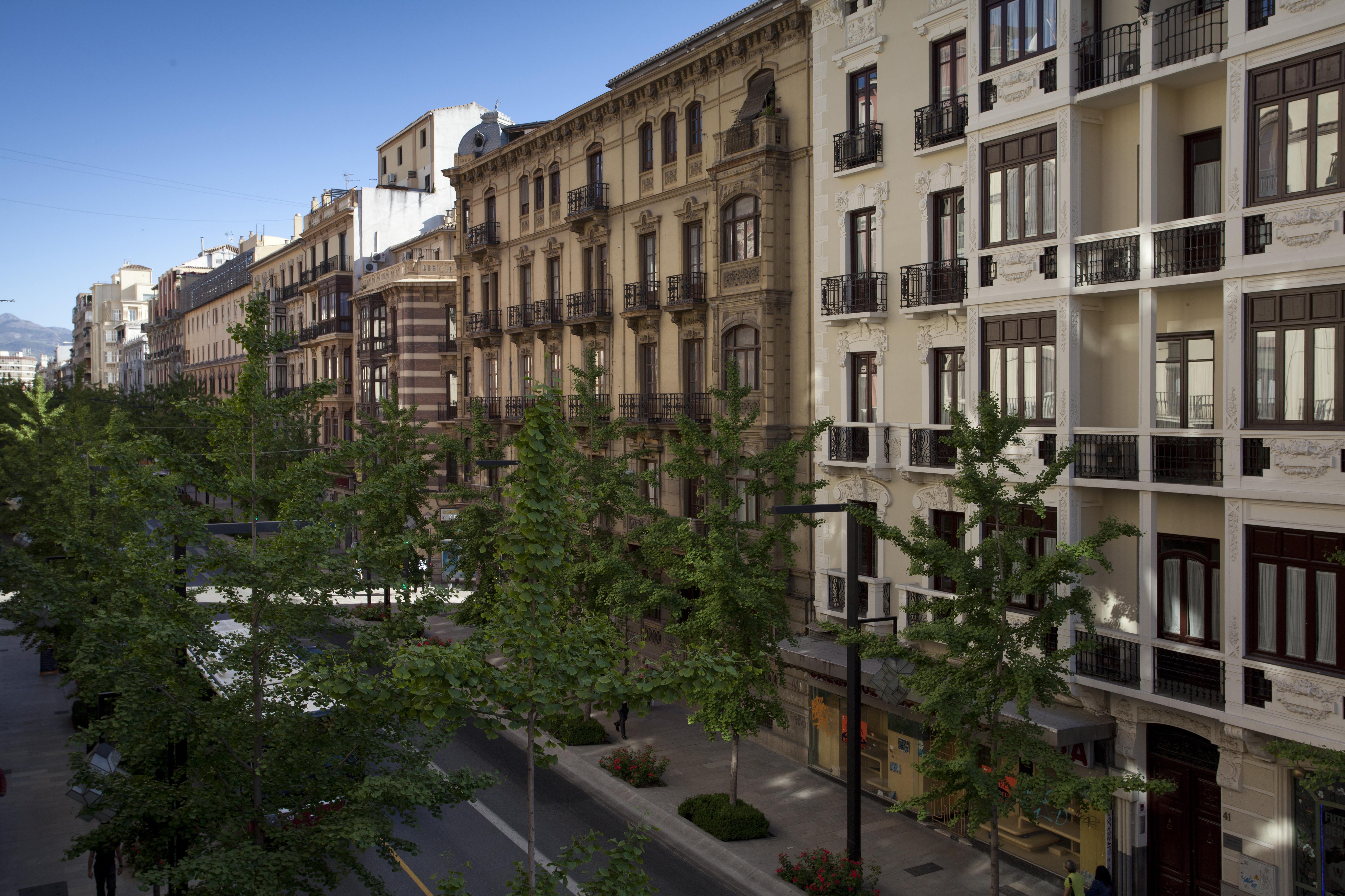 Suites Gran Via 44 Гранада Екстер'єр фото